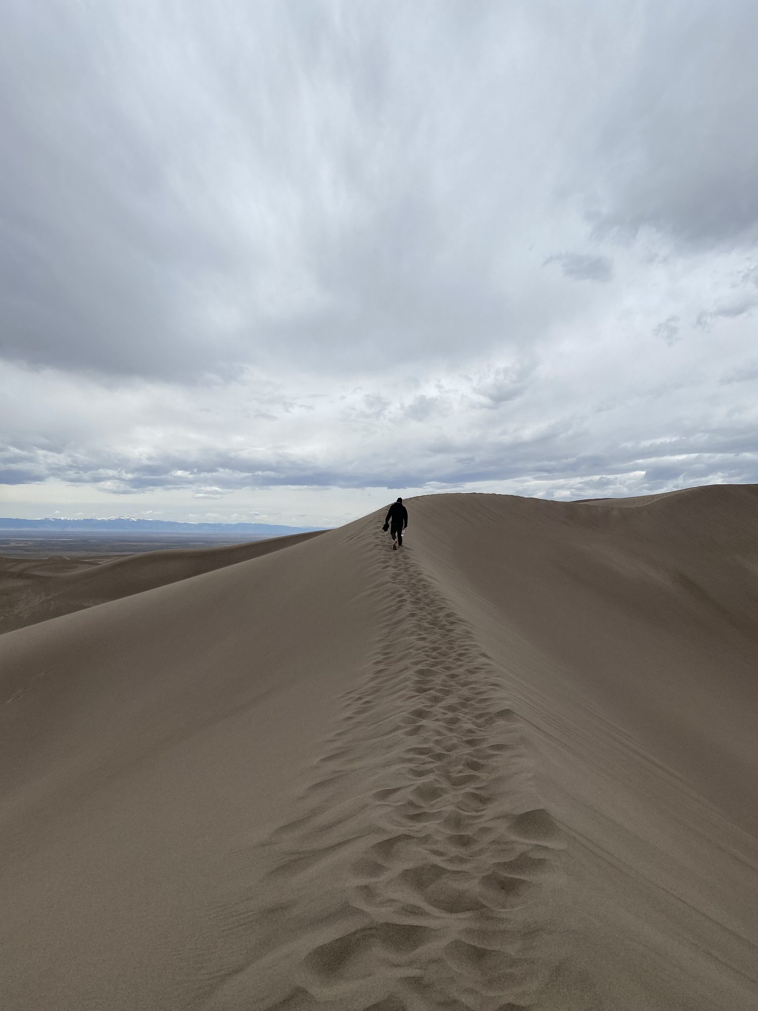 Desert_jpg