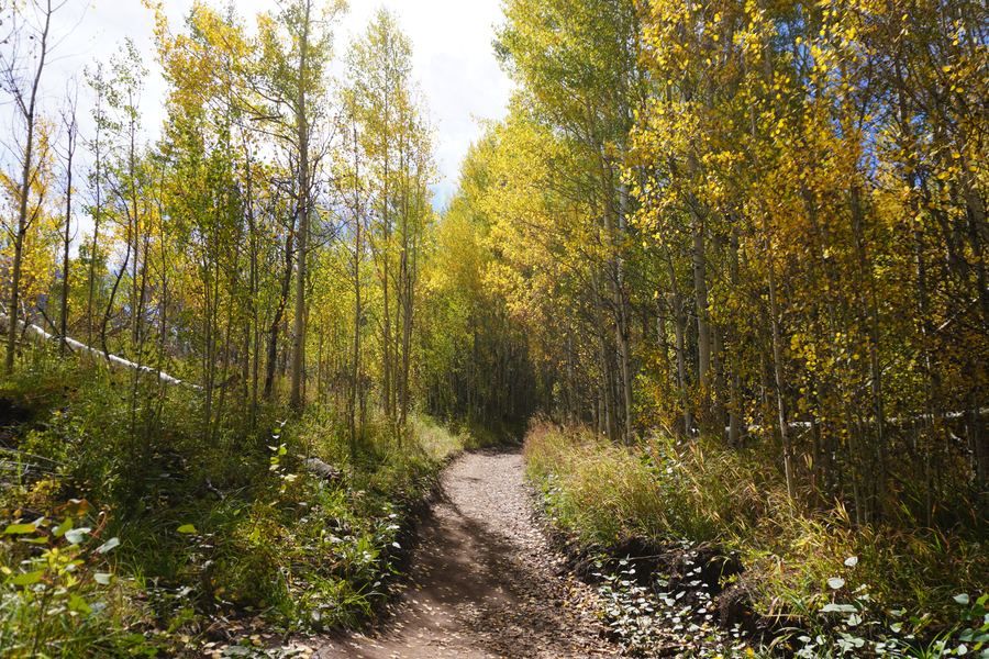 Frisco hike