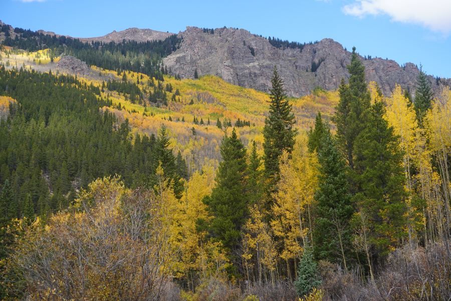 Golden aspens and evergreens below a rocky ridge
